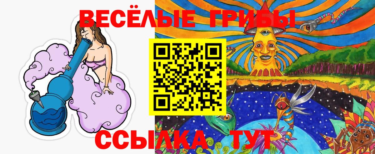 Галлюциногенные грибы MAGIC MUSHROOMS  Галлюциногенные грибы мицелий  Вход с VPN  Казань 