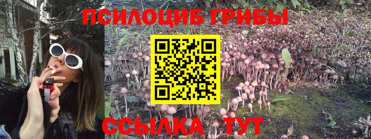 Псилоцибиновые грибы ЛСД Казань